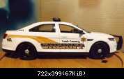 1-24 Cook Co Sheriff with leds (3)