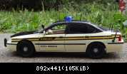 Tennessee State Police (5)