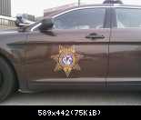 McLean Co. Sheriff, Il. new units (2)
