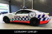 NSW Mustang1